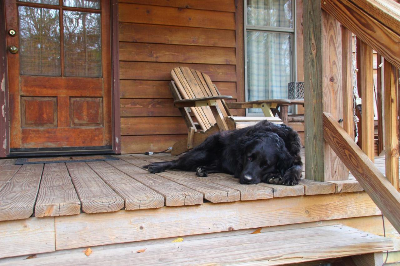 Berry Creek Cabins Bed & Breakfast Isabel Luaran gambar